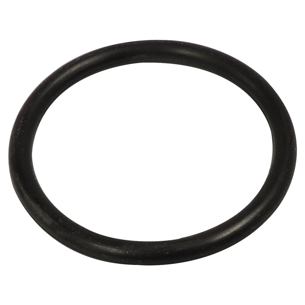 Crown 52069888AB Shaft Disconnect O-Ring
